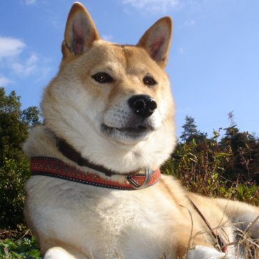 yomisuke's profile picture. 64歳の日本人です。長崎市出身。ハロプロ好きで、特にカンナギマロ、真野恵里菜、福田真琳、アンジュルムを推しています。I'm a 64-year-old Japanese man from Nagasaki City. I love Hello! Project.