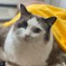 htw3201 (@htw320188882) Twitter profile photo htw3201 (@htw320188882) Twitter profile photo