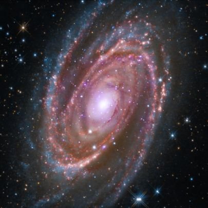 Smfiroozi's profile picture. To be good to do good & to be honest is my policy ☘️