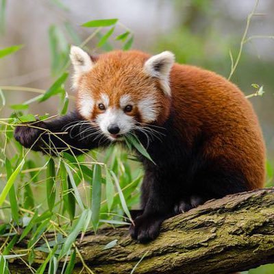 nekosan5474's profile picture. keio→再受験→M1