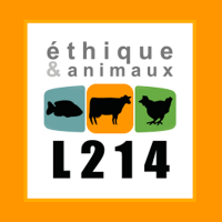 L214 éthique & animaux(@L214) 's Twitter Profile Photo