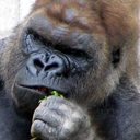 Peter Demaree - @PLDJr - Twitter