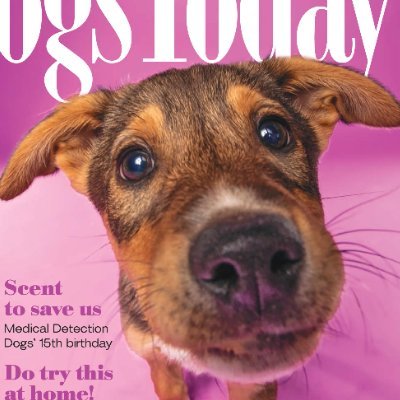 The ethical pet magazine for people who really care about dogs. Contact enquiries@dogstodaymagazine.co.uk
Instagram: officialdogstoday