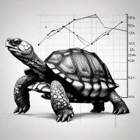 The Compounding Tortoise(@CompTortoise) 's Twitter Profile Photo