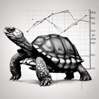 The Compounding Tortoise (@comptortoise) 's Twitter Profile