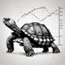 The Compounding Tortoise (@comptortoise) Twitter profile photo The Compounding Tortoise (@comptortoise) Twitter profile photo