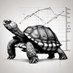 The Compounding Tortoise (@CompTortoise) Twitter profile photo