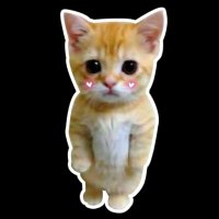jira (@jira_oasis) 's Twitter Profile