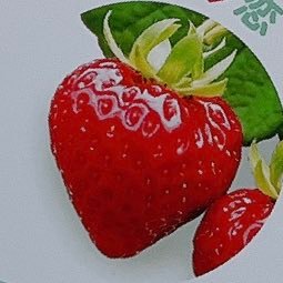 いちごのヘタ🍓取引アカさんのプロフィール画像