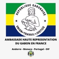 Ambassade du Gabon en France(@GaboninFrance) 's Twitter Profileg