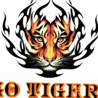 Ansonia Tigers Baseball (@ansoniatigers) 's Twitter Profile Photo Ansonia Tigers Baseball (@ansoniatigers) 's Twitter Profile Photo