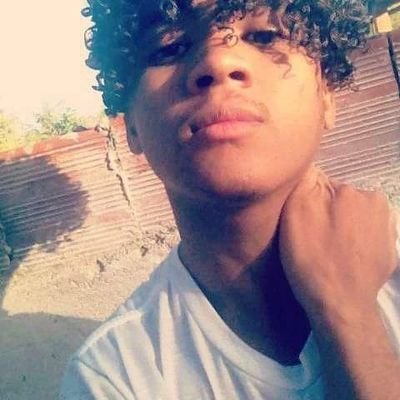 saphajo's profile picture. "Bem-vindo(a) ao mundo de Saphajo! Mas pode me chamar de Sanwillya. Aqui, eu procuro a verdadeira informação. Meu e-mail é:
 saphajo@proton.me"