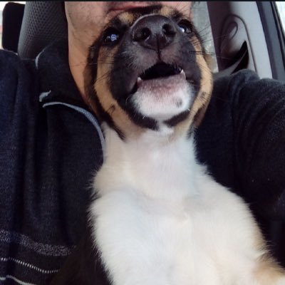 Ruben_Ferlo's profile picture. 