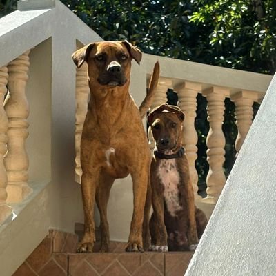 G82646678G's profile picture. Proud mom of two and a dog.