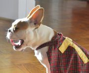 eggtonblog's profile picture. Writing my way from NY to Alabama to Chicago with a salty wit and a sweet tooth. All views are my own and not my employer's.