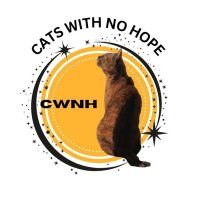 CWNH - Cats With No Hope Rescue (@catswithnohope) 's Twitter Profile Photo CWNH - Cats With No Hope Rescue (@catswithnohope) 's Twitter Profile Photo