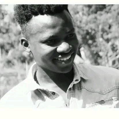 ElvisIbrahim1's profile picture. 