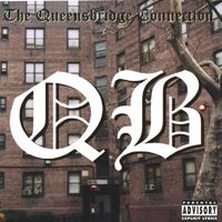 Queensbridge Hip Hop Profile