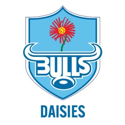 BullsDaisies Profile Picture