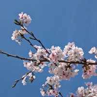 縁 (@enishi_714) 's Twitter Profile