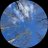 bialy_123da