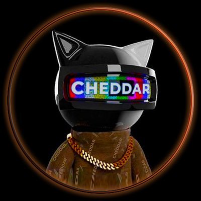 CHEDDAR👑 Profile