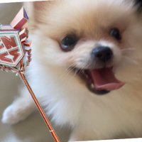 Monty (@monty_fnt) 's Twitter Profile