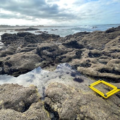 Coastal Warming research group @CIBIO_InBIO