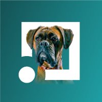 ClearScore (@clearscore) 's Twitter Profile