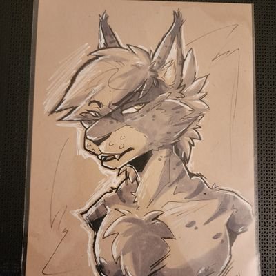 HolyVargas's profile picture. 22/playing gacha games out of contractual obligation/commissioner/ 18+ Minors DNI