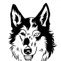 ヒロ マサミ (@hero_wolfdog) 's Twitter Profile Photo