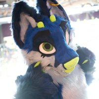 Endo 🔜 FWA(@endosteumfox) 's Twitter Profile Photo