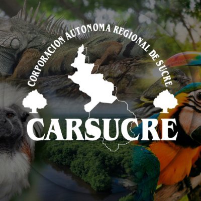 carsucre Profile Picture