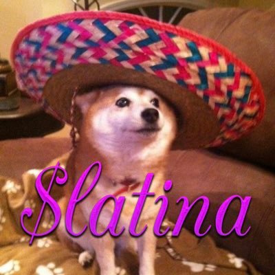 soy $LATINA ….community takeover. here for Latinas and vibes.                                            CA: F4cigpC6o2S3sCDG5DV2BCpf1qf1g6mZ1LdrNMpU7G9S on SOL