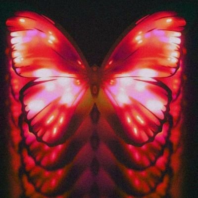 Ilonah00733918's profile picture. 