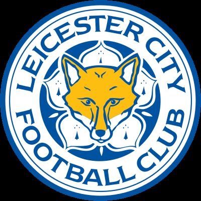 💙Support The Foxes💙
Forever!