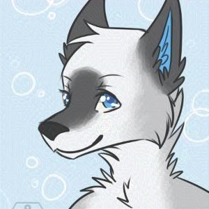 Fuwo Profile