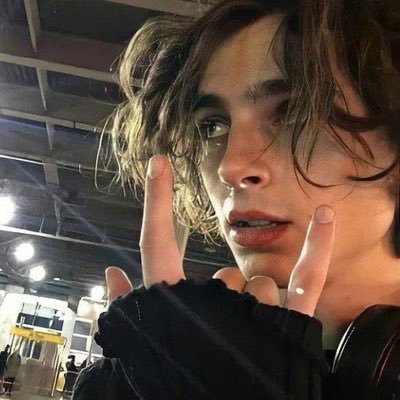 Timothée Chalamalabingbong for life                Fan acc❤️