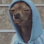 letmegz's profile picture. everything I say is a financial advice but none of my tweets are.