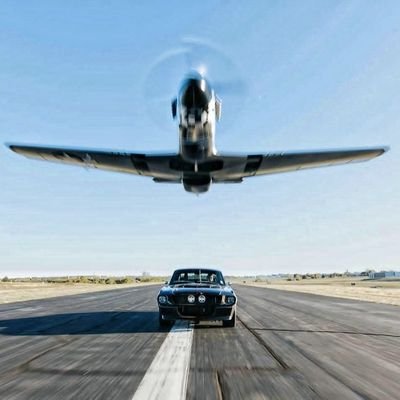 barrufet75's profile picture. 