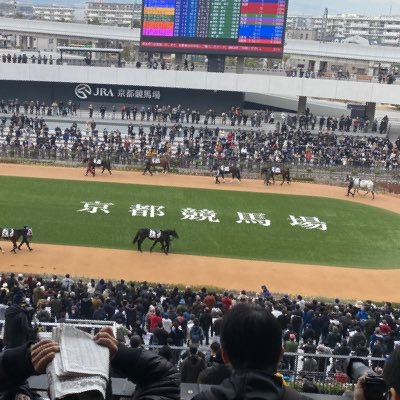 競馬専用アカウント-毎週の重賞レースの全頭診断やってます。参考になれば幸いです。