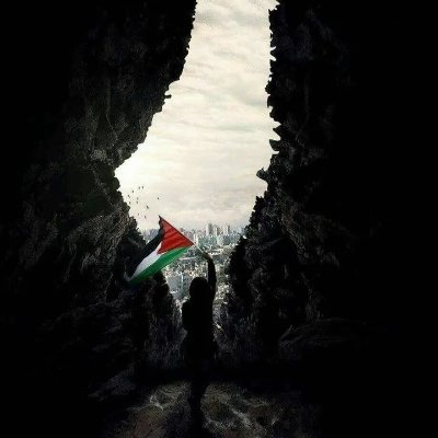 PALESTINE WILL BE FREE 🇵🇸