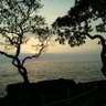Wataizo's profile picture. Ua Mau ke Ea o ka 'Aina i ka Pono - The Life of the Land is Perpetuated in Righteousness #ΜΟΛΩΝΛΑΒΕ