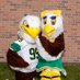 Clay Cheerleading (@claycheer) Twitter profile photo Clay Cheerleading (@claycheer) Twitter profile photo