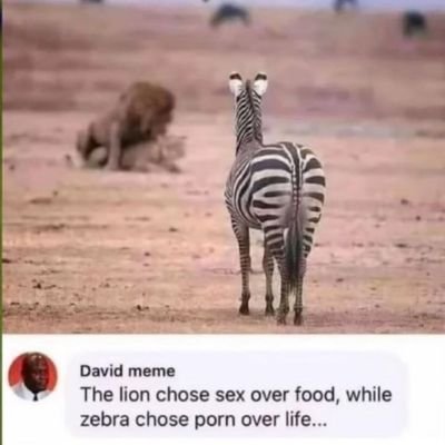 Vanmakol's profile picture. 
