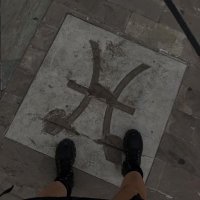 fellinesca (@_fellinesca) 's Twitter Profile