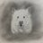House_in_Tiger's profile image