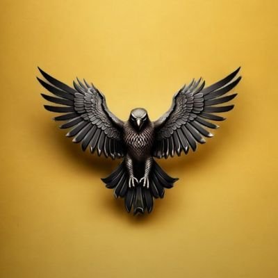 ali260258955899's profile picture. Hello everyone welcome to my profile