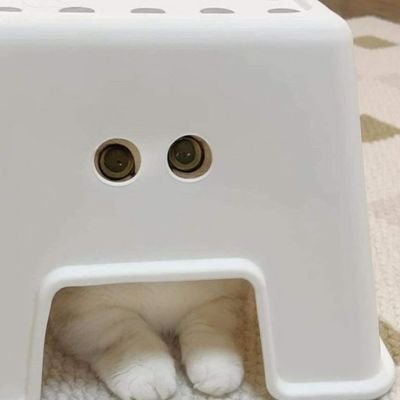 iioiicandy_0508's profile picture. 초대남 네토 극혐함 
/근빵이에 환장함
/헬트친 환영 운동계
/디엠 답장 느려요