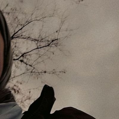 nnh1439852's profile picture. زن زندگی